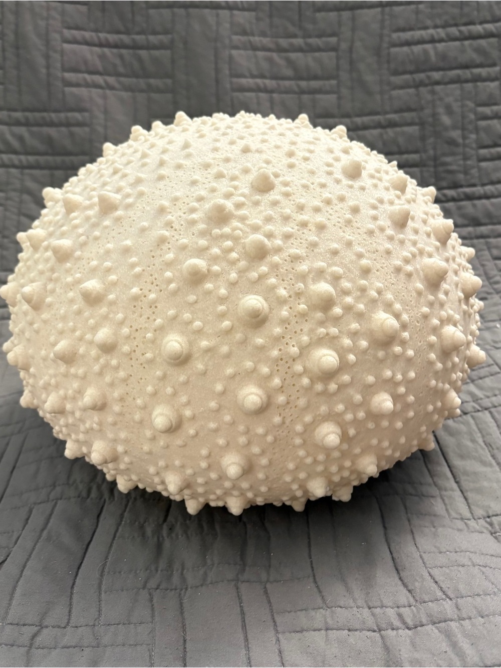Sea Urchin Light Beach Ocean White Shell Light Up Coastal Natural Sandstone 13”
